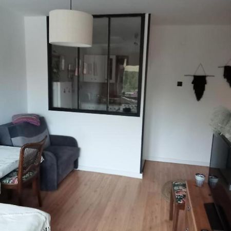 Apartament Dobre Miejsce Malbork Bagian luar foto