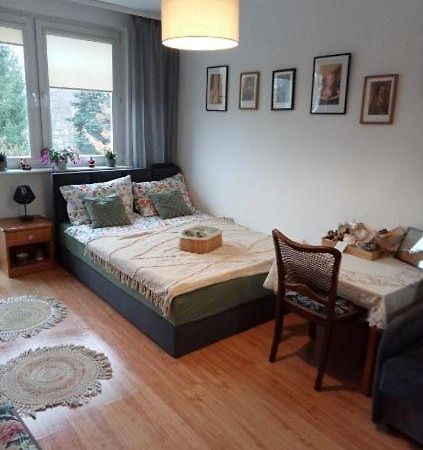Apartament Dobre Miejsce Malbork Bagian luar foto